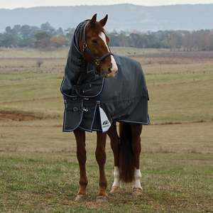 Winter 100g 300g: Weatherbeeta ComFiTec Ultra Turnout Detach-A-Neck