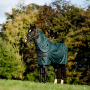 Winter 100g 300g: Amigo Ripstop 900D Plus Turnout Detach-A-Neck
