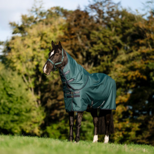 Winter 100g 300g: Amigo Ripstop 900D Plus Pony Turnout Detach-A-Neck