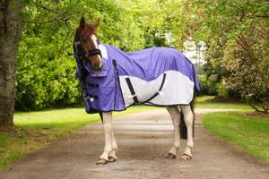 NZ Tack WaterProof Mesh CrossOver Combo Purple