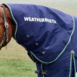 Winter 100g 300g: Weatherbeeta ComfiTec Plus Dynamic Turnout Neck Cover