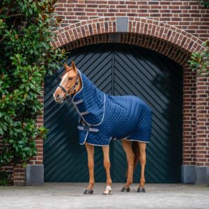 Amigo Quilted Stable Plus Detach-A-Neck