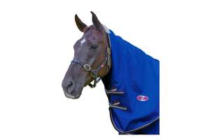 Winter Mid Season: Zilco Garrison 1200d Neck Rug
