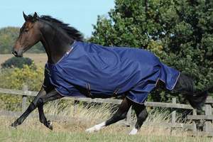 Winter Mid Season: Bucas Rug Irish 1200D Navy