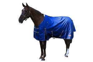 Zilco Garrison 1200d Rug