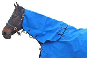 Winter Mid Season: Flair Equitex 12oz Canvas Neck Cover