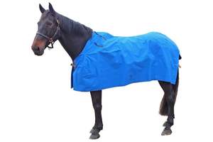 Winter Mid Season: Flair Equitex 12oz Canvas Cover