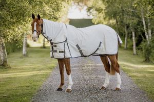 Best Selling: Cavallino Oxford Summer Combo
