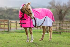 Best Selling: NZ Tack WaterProof Mesh CrossOver Combo Pink