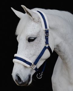 Flair Plush Halter