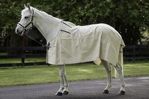 Flair: Flair Summer Cotton Rug