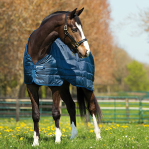 200g: Horseware Ireland Liner
