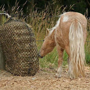 Hay Nets And Bags: Calm Healthy Horses Hay Savers Haynet