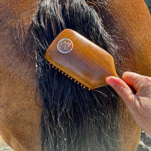 Eco Horse: Eco Little Workhorse Brush