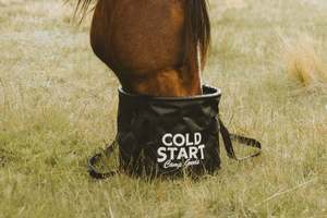 The Big Bucket ‚Äì 20L Collapsible Feed & Water Bucket