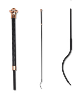 Waldhausen Whip Dressage Noblesse