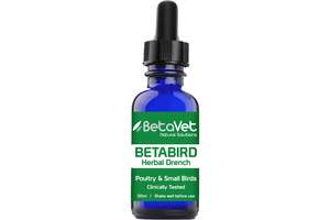 Betavet: BetaVet Betabird