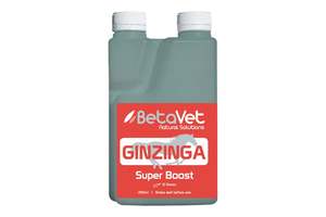 Betavet: BetaVet Ginzinga