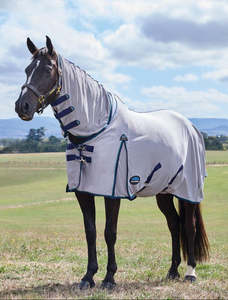 Fly Protection For Horses: Weatherbeeta ComFiTec Zephyr Fly Sheet Combo