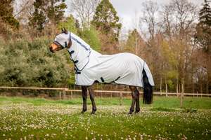 Fly Protection For Horses: Mio Fly Rug Combo