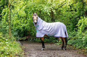Fly Protection For Horses: Amigo Pony Bug Rug Detach-A-Neck