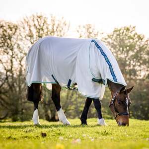 Fly Protection For Horses: Amigo XL Bug Rug Detach-A-Neck