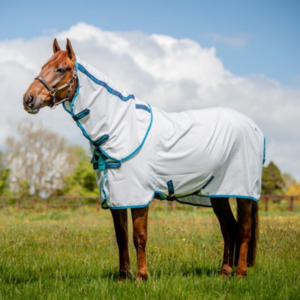 Fly Protection For Horses: Amigo Aussie Allrounder DiscFront Detach-A-Neck