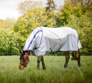 Fly Protection For Horses: Amigo Airflow Detach-A-Neck