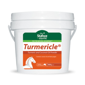 AHD Turmericle Turmeric and Coconut Oil Powder