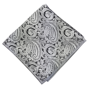 Products: Silver & Black Paisley Pocket Square