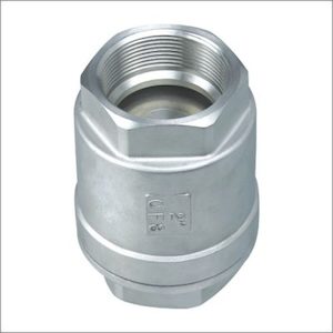 Stainless Steel Check Valve