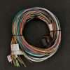 Link ECU - B Loom Medium (2LB) - NZ Wiring