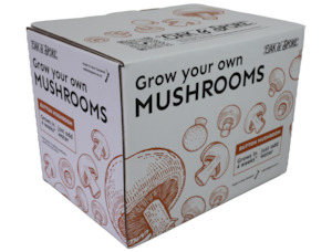Mushroom Kits: Button Mushroom Grow Kit