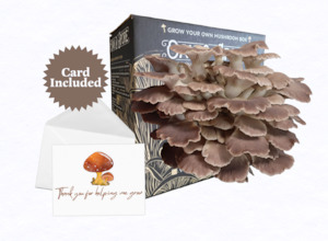 2025 Mother's Day Gift Bundle - Italian Oyster