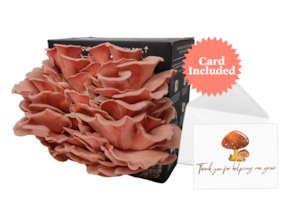 2025 Mother's Day Gift Bundle - Pink Oyster