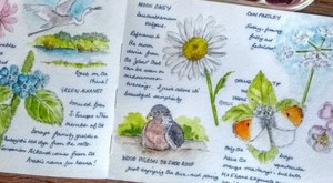 Products: Create Your Own Nature Journal - Spring - School Holiday Fun oakandthistle