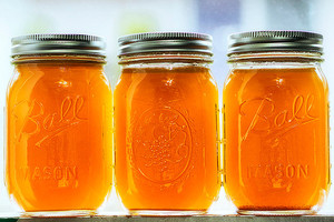 Products: Gut Healing Bone Broths oakandthistle