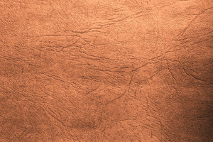 Products: Kombucha Paper Making oakandthistle
