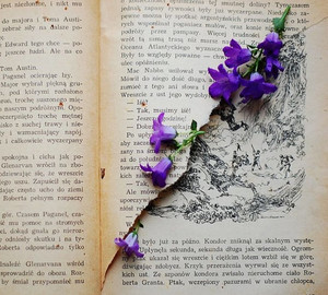 Create Your Own Nature Journal - Autumn - School Holiday Fun oakandthistle