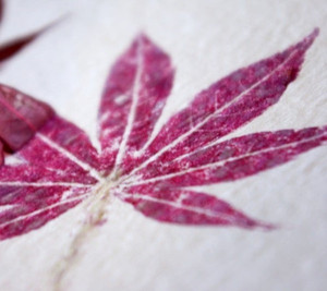 Products: Leaf & Flower Pounding - School Holiday Fun oakandthistle