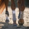 Incrediwear Equine Circulation Bandages