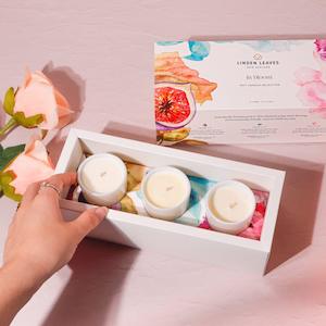 Linden Leaves: Linden Leaves Soy Candle Selection Gift Set