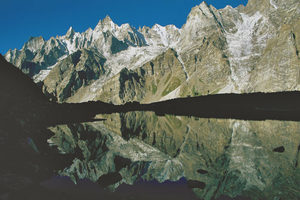 Reflected ants - Occasional Climber