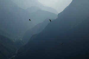 Products: Thermal - Occasional Climber