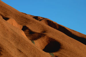 Products: Red Centre - 06 - Occasional Climber