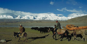 Products: China - 06 - Occasional Climber