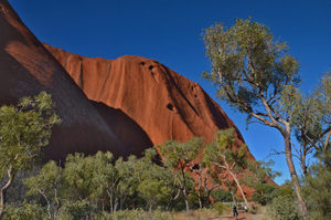 Products: Red Centre - 07 - Occasional Climber