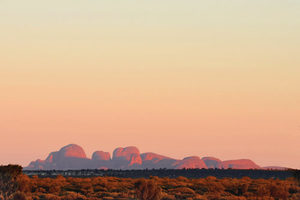 Products: Red Centre - 08 - Occasional Climber