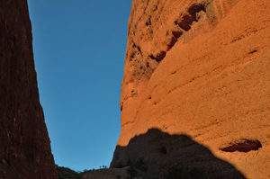 Products: Red Centre - 14 - Occasional Climber