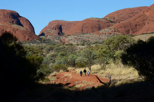 Products: Red Centre - 16 - Occasional Climber